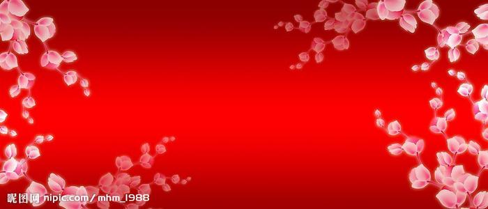 高中毕业证的编号在哪里